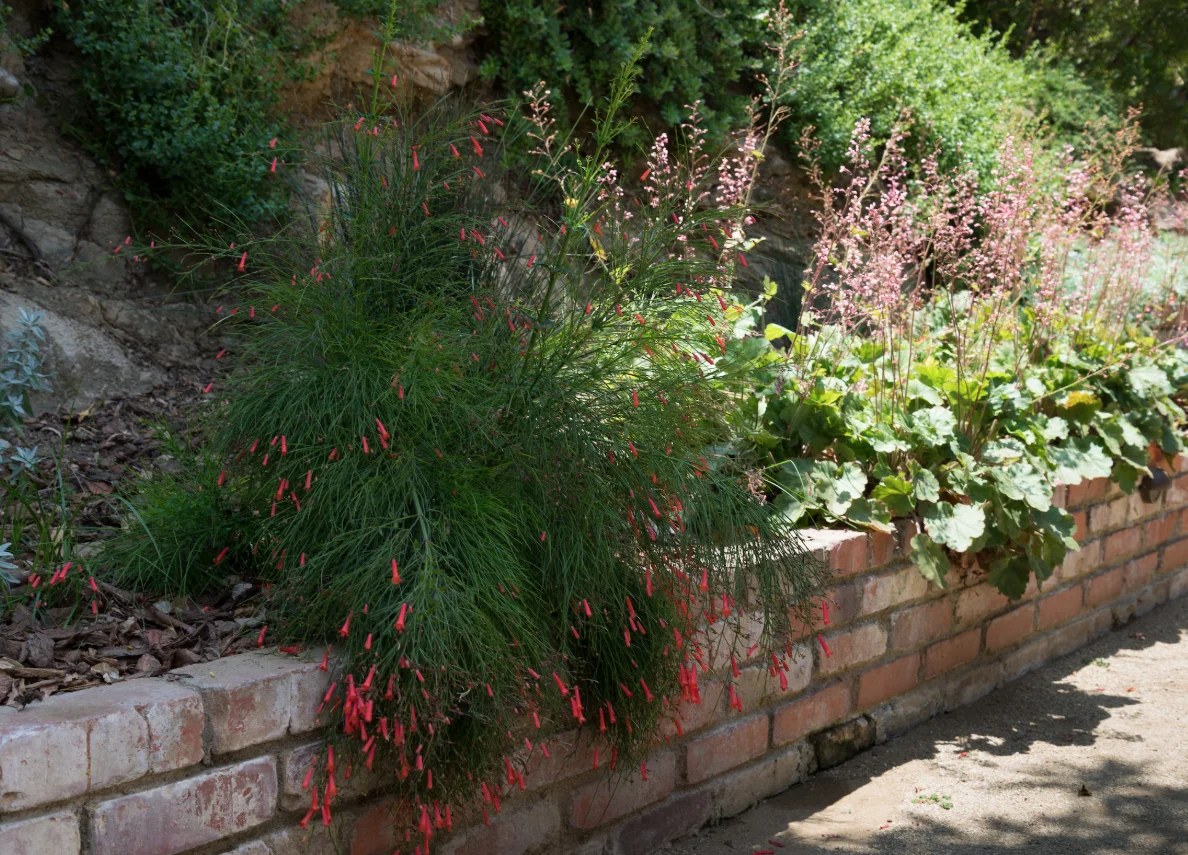 Vibrant tropical plants creating lush outdoor scenery.