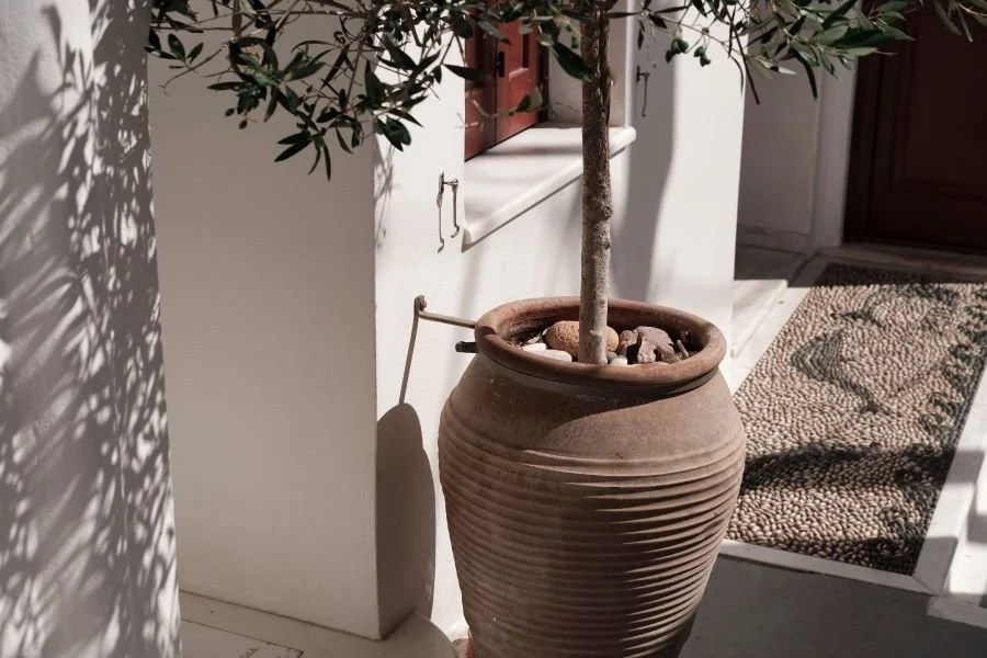 Colorful glazed pottery elevating the garden's visual appeal.