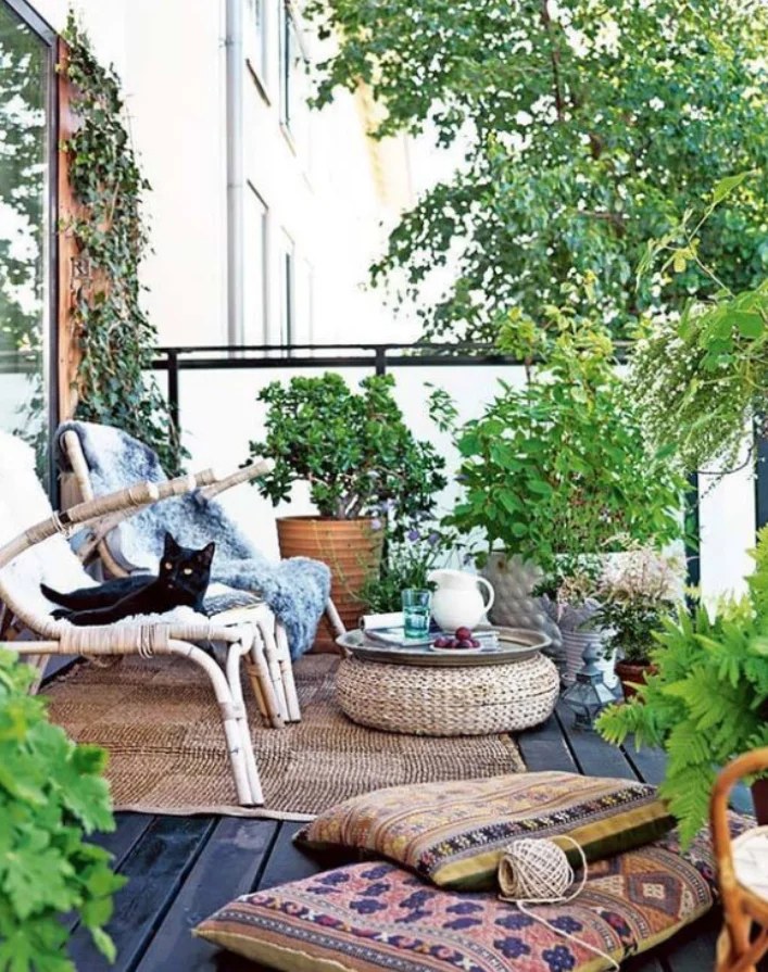 An array of colorful patio pots enhancing garden vibrancy