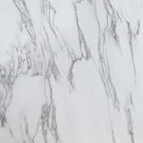 Charming indoor plants adding life to rental-friendly apartment decor