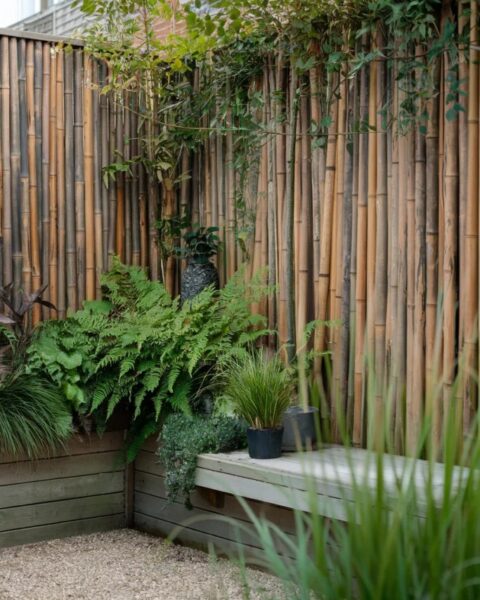 Transform Your Garden: 15+ Stunning Screening Ideas for Ultimate Privacy
