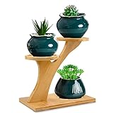 Layered small apartment shelf decor combining various textures.