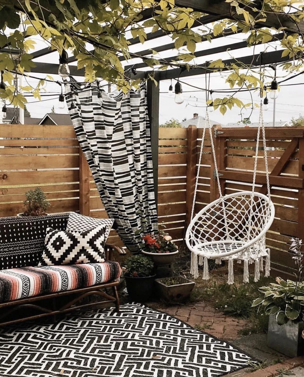 Macramé hanging planter with lush green plants